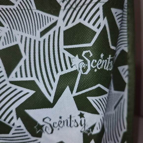 SCENTSY Green Tote Bag 12" x 12" as is - Picture 2 of 6